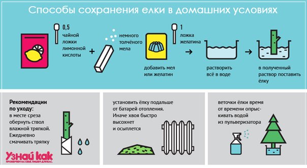 Как сделать чтобы елка живая дольше стояла Как сделать чтобы елка живая дольше стояла