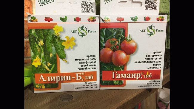 Использование медного купороса в саду и на огороде