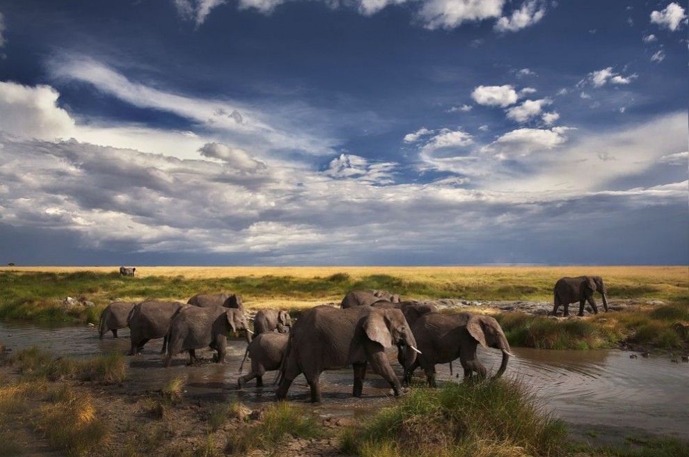 фото National Geographic