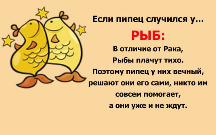 Весёлый гороскоп: как встречают трудности знаки Зодиака Весёлый гороскоп: как встречают трудности знаки Зодиака