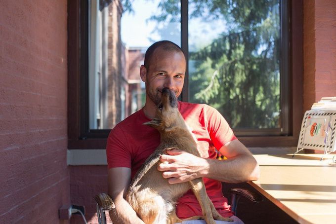 животные, отношения, люди, приют