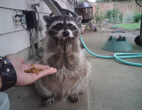 Интересные фотографии