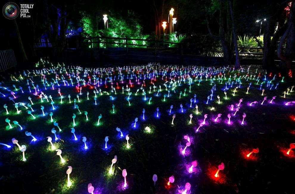 Фестиваль музыки и света Vivid Sydney