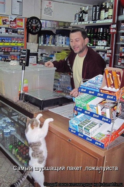 Лучшие котоматрицы недели Лучшие котоматрицы недели