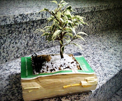 дизайн интерьера дома и кухни