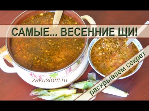 Самые вкусные зеленые щи! Самые вкусные зеленые щи!
