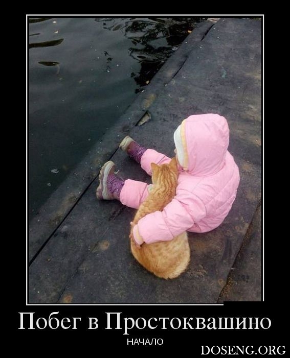 Демотиваторы Демотиваторы