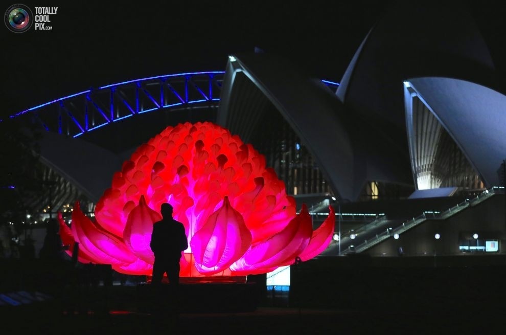 Фестиваль музыки и света Vivid Sydney