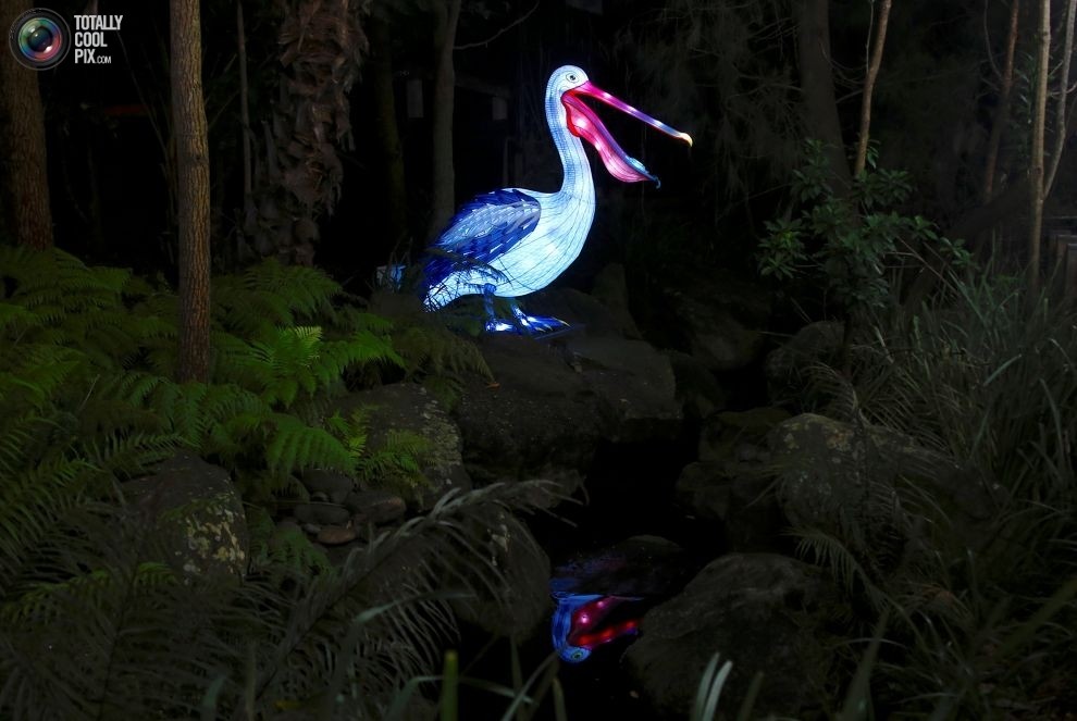 Фестиваль музыки и света Vivid Sydney