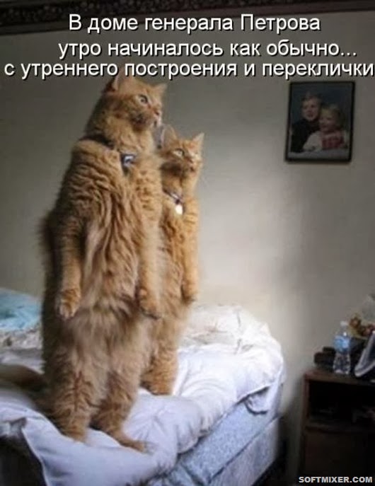 599bd764b536ba454de7998c8d5