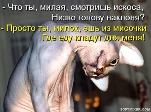 5fe2c4b405948824ac0b92568ce_prev