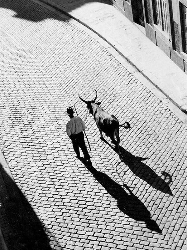 BnWphotos28 50 �������� ����� ����� ������� �� �������� ����������