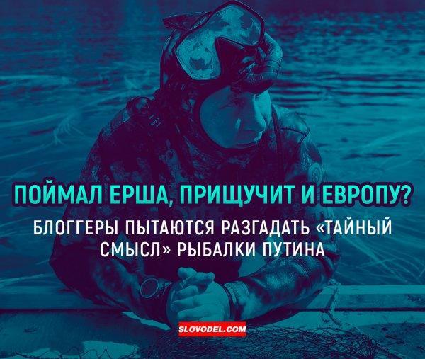 Поймал ерша, прищучит и Европу? Блоггеры пытаются разгодать «тайный смысл» рыбалки Путина Поймал ерша, прищучит и Европу? Блоггеры пытаются разгодать «тайный смысл» рыбалки Путина