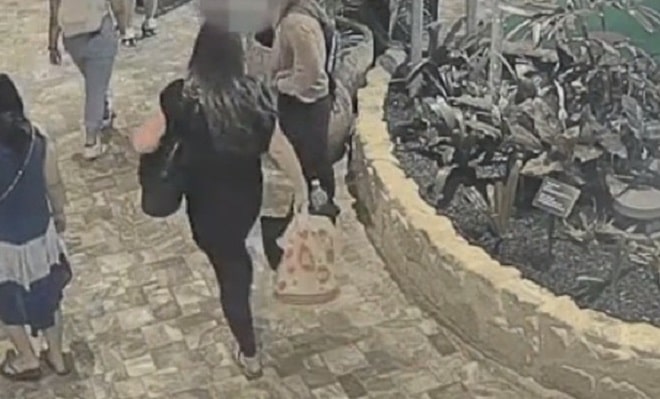Мужчина и женщина возле кустов Женщина с пакетом