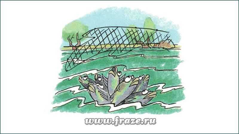 Вывести на чистую воду — разоблачить чьи-то тёмные дела.