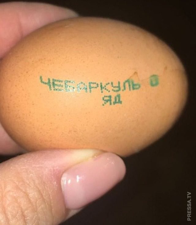 ЭТО РОССИЯ, ДЕТКА+ ЭТО РОССИЯ, ДЕТКА+