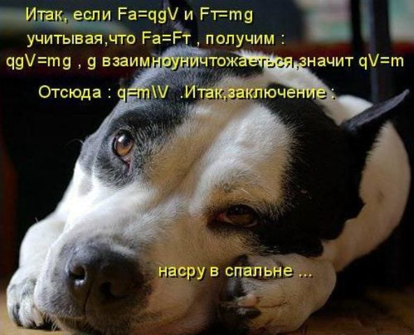 Давайте улыбаться вместе :) (20поводов)