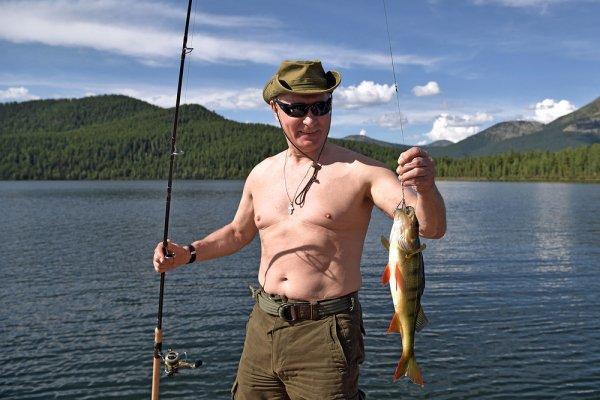 Поймал ерша, прищучит и Европу? Блоггеры пытаются разгодать «тайный смысл» рыбалки Путина Поймал ерша, прищучит и Европу? Блоггеры пытаются разгодать «тайный смысл» рыбалки Путина
