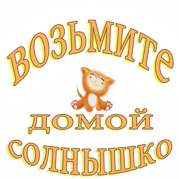 Полосатая банда ищет своих поклонников!)