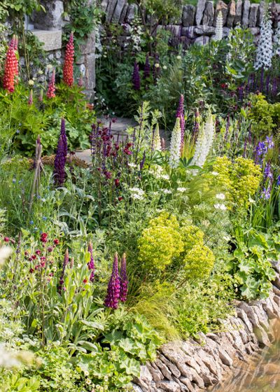 Уроки Chelsea Flower Show: С…