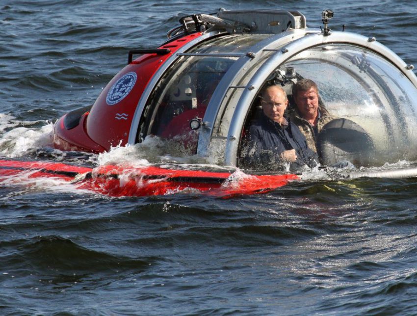 природа, позитив, фото