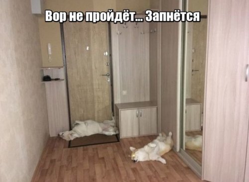 Забавные картинки (30 фото) Забавные картинки (30 фото)