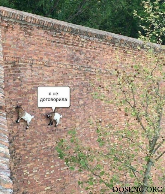 Прикольные картинки Прикольные картинки