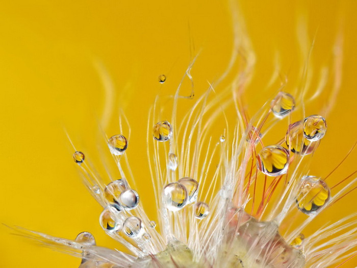 ��������������� John Cogan