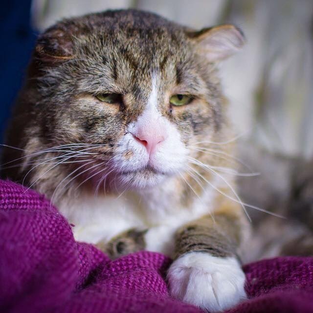 Взгляд, который разбил сердце девушке Взгляд, который разбил сердце девушке