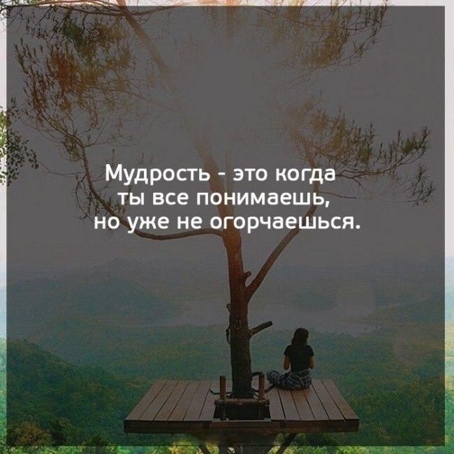 Ну просто в точку! Ну просто в точку!