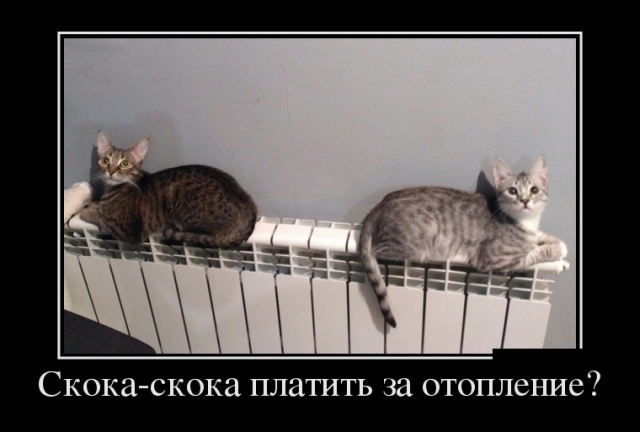 Демотиваторы Демотиваторы