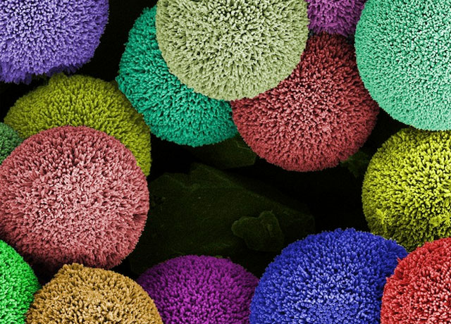 Наука как искусство: удивительные наноматериалы под микроскопом