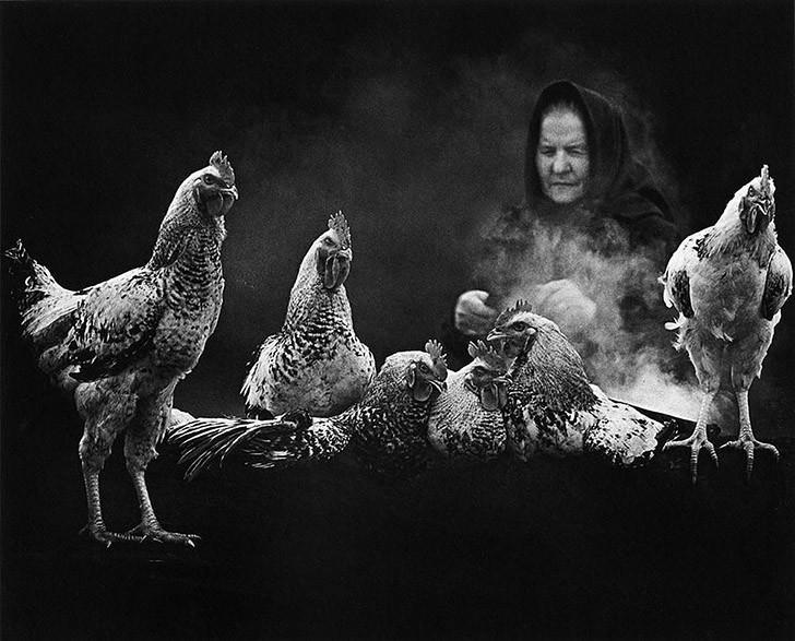 BnWphotos01 50 �������� ����� ����� ������� �� �������� ����������