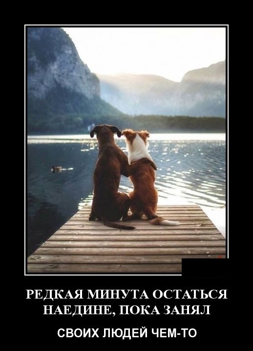 Демотиваторы Демотиваторы