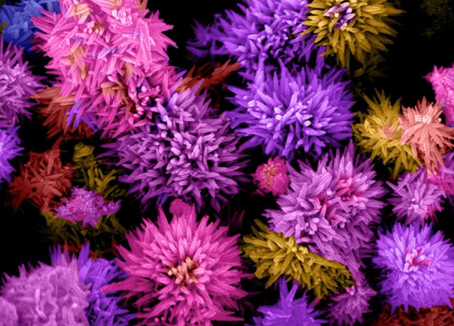 Наука как искусство: удивительные наноматериалы под микроскопом