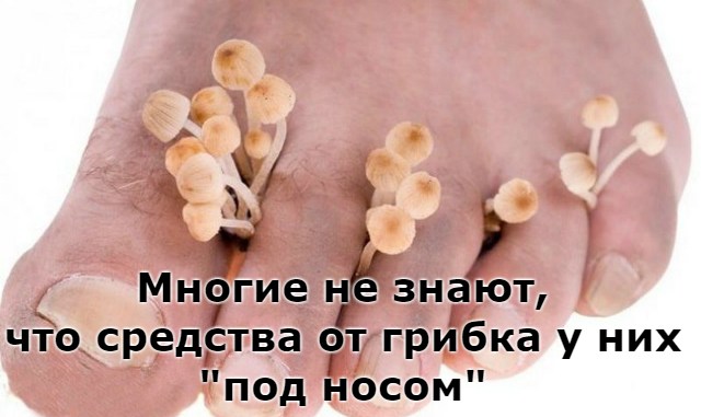 98061414