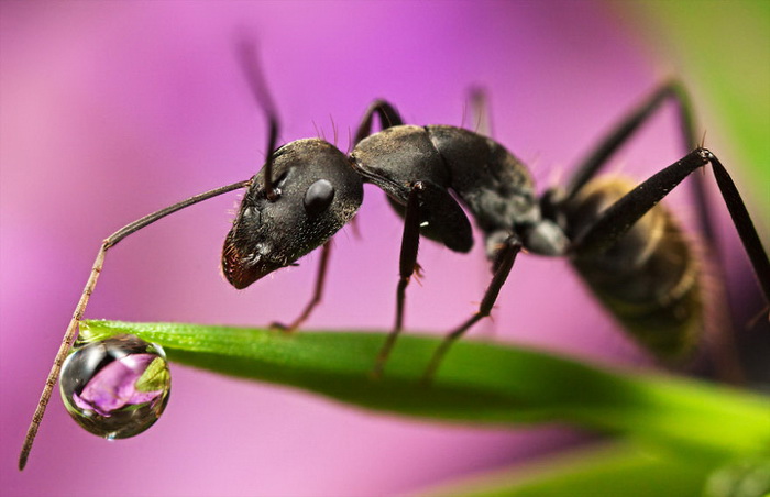 ��������������� John Cogan