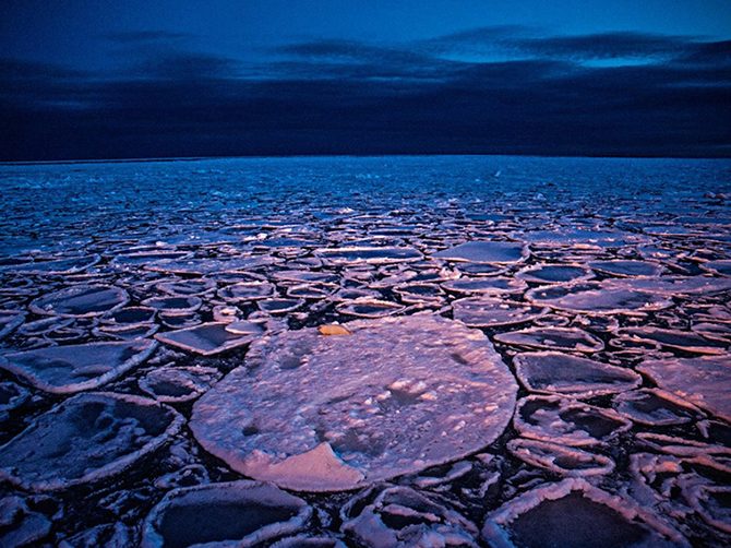 Лучшие фотографии National Geographic Лучшие фотографии National Geographic