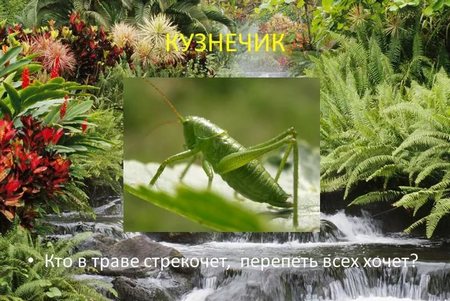 Ее Светлость Лето. PR