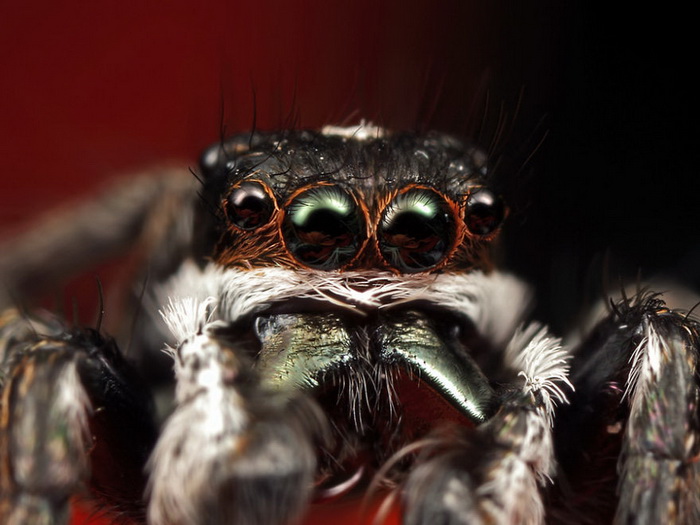 ��������������� John Cogan