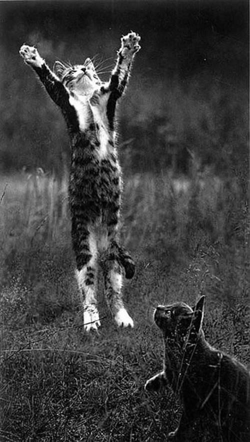 BnWphotos20 50 �������� ����� ����� ������� �� �������� ����������