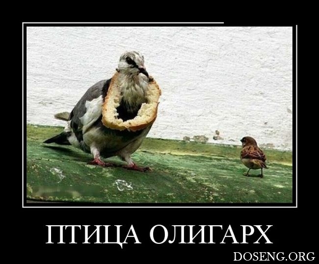Демотиваторы Демотиваторы