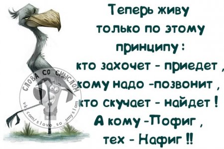 путевки на охоту по интернету