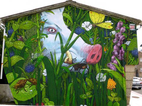 интересное, рисунки