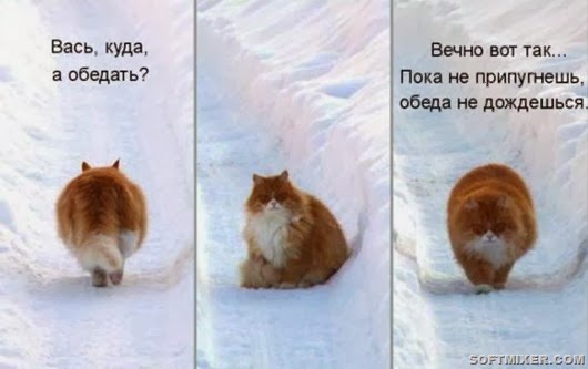 148965881b2436e976c96fe66b6_prev