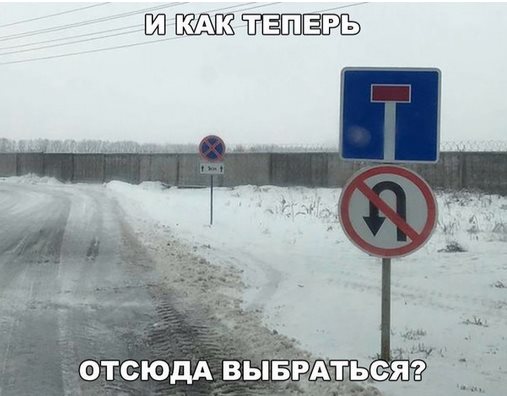 Роддом, радостное солнечное утро, под окнами группки мужиков с обязательными гвоздиками в  руках...