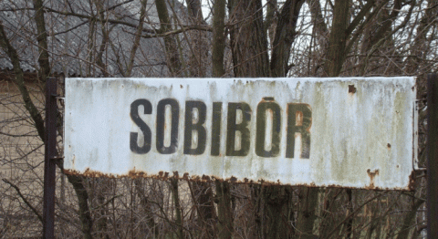 Решение не допускать Россию к строительству музея на месте концлагеря Собибор вызвало возмущение российских евреев