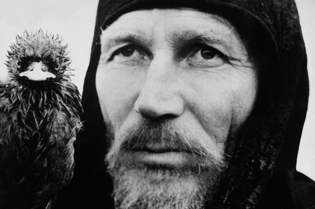 Вспомнить всё. «Неизвестные» имена любимых актёров Вспомнить всё. «Неизвестные» имена любимых актёров