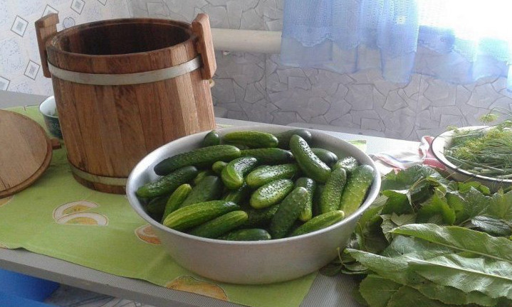 Как правильно закатывать огурцы а зиму… Теперь знаю, куда девать урожай! Обязательно попробую способ № 3…