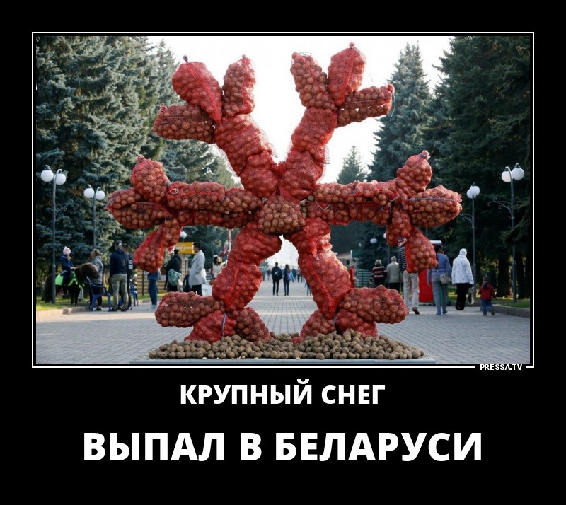 Самые оптимистичные осенние демотиваторы Самые оптимистичные осенние демотиваторы